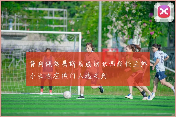 费利佩路易斯或成切尔西新任主帅小法也在热门人选之列
